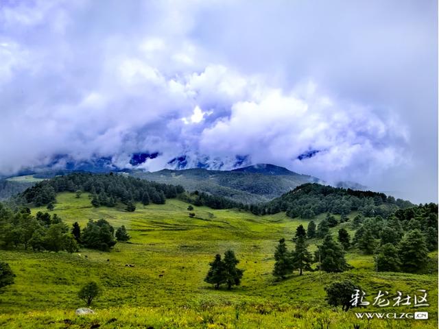 昆明有个阿勒泰