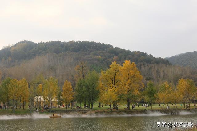 湖北随州，千年银杏谷 自然与人文的诗意交响