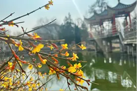 ​花开有约 石家庄公园广场赏花指南图片
