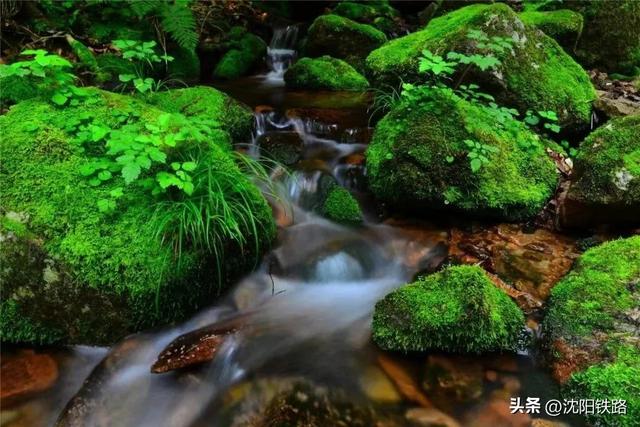 “避暑纳凉” 好去处，这个小城等你来