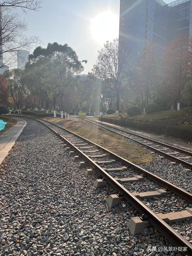 南昌凤凰洲湿地公园，美的不像话！