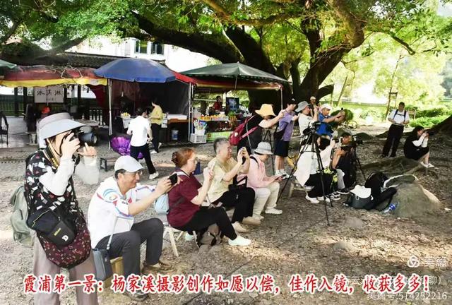彩色旅图｜光影里的霞浦：滩涂、古树与渔排的诗意时光