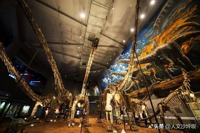 遛娃还能避暑！重庆能待一整天的8个遛娃好去处推荐