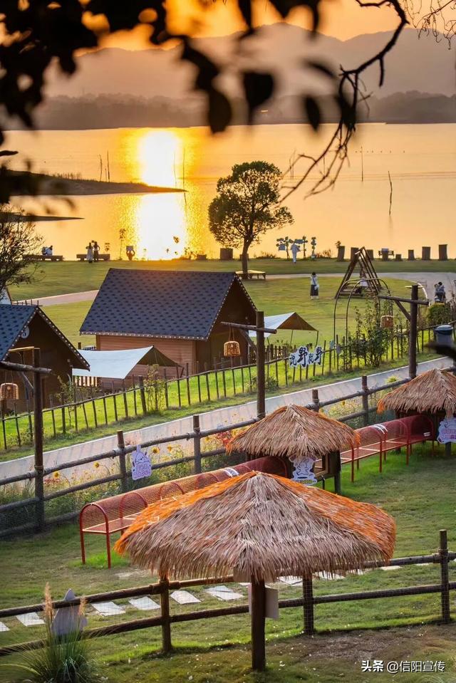 信阳冬季的N种打开方式，总有一种让你心动