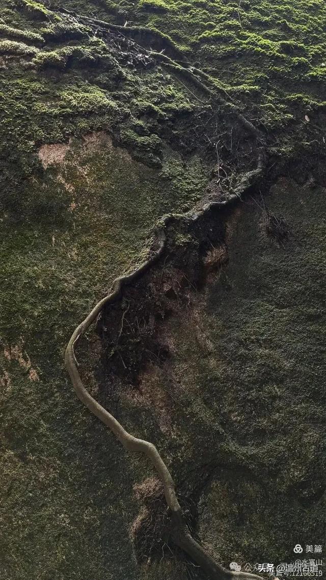 浙江这座被徐霞客尤其看中并两次停留的奇石迷宫,你可知道在哪里