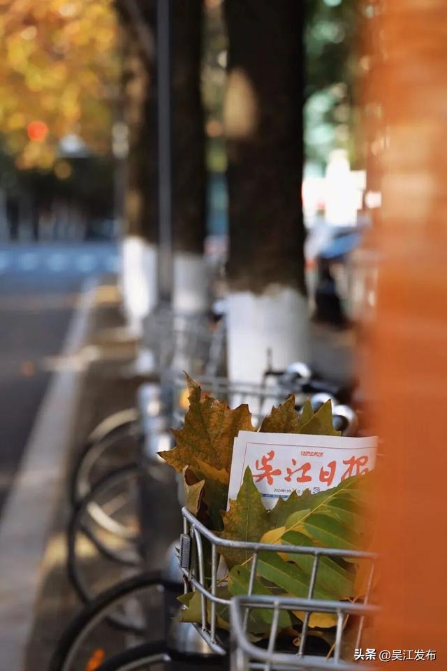 周末去打卡丨来吴江，“捡秋”！