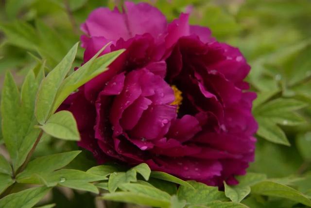 武都，“热”力全开🥰🥰