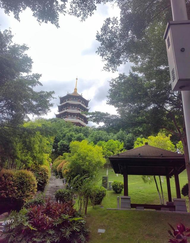 厦门集美市民公园，城市中的绿洲，园中集美塔总建筑高度79.5米