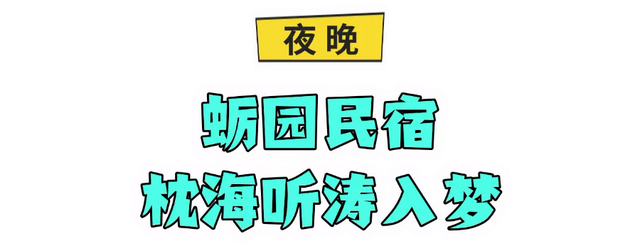 「冬游乳山」48小时蚝味之旅：沉浸式解锁乳山滨海的鲜与趣
