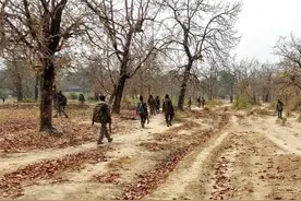 印度2000眼镜蛇特种部队，被400叛匪群殴3小时，战死22人图片