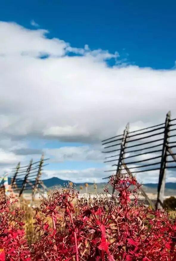 你的第一次旅行去了哪？这些地方藏着最暖的回忆