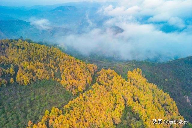 【东方微笑 多彩麦积】摄影师看麦积 | 龟凤山染金映云海