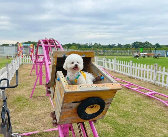 我是上海人，刚从金山区回来，实在忍不住想说：对金山的5点印象