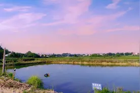 信丰县大塘埠镇一水库被私人承包养鱼污染水质 镇政府回应图片