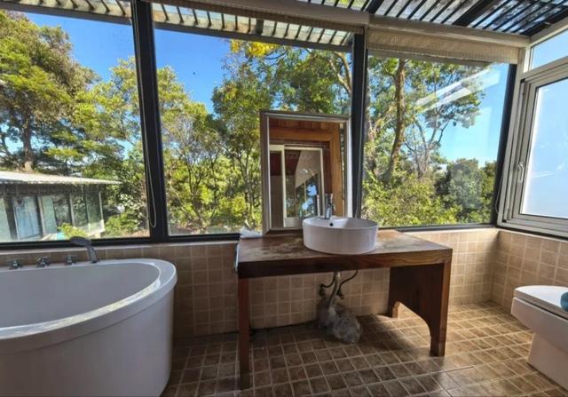 50岁龚琳娜独居深山，房子后面是一片坟地，离婚后养猫为伴不害怕