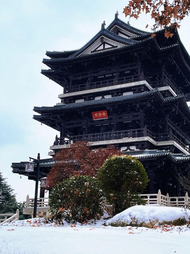 大寒雪落，我们陪你“慢下来”