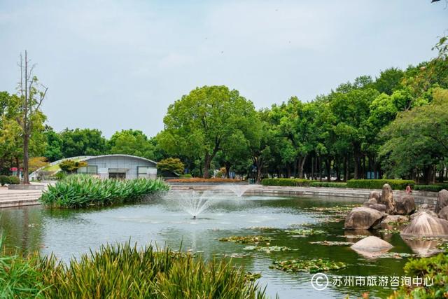 夏日清晨,在桐泾公园邂逅向日葵花海与童话小屋