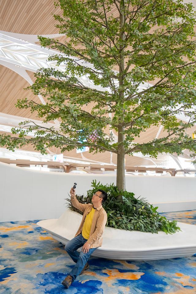 广州白云T3航站楼启用：全国最大单体机场诞生，岭南花城新地标