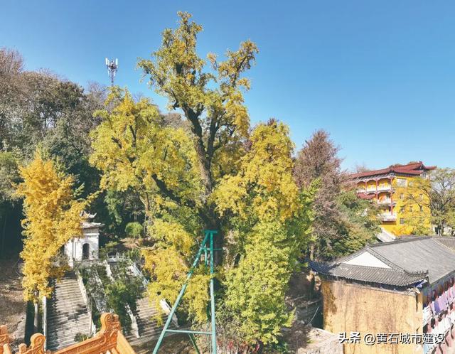 码住!从早到晚不踩雷,黄石女神专属路线来啦→