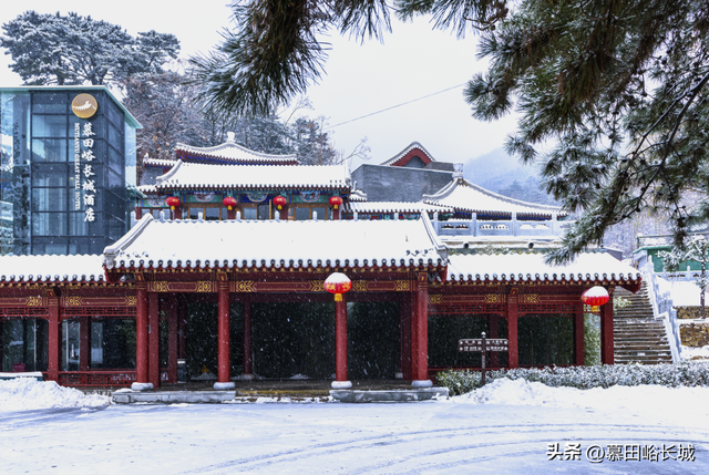 【元旦观日出】早鸟票重磅奉送 最大优惠200元！！！