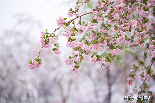 今日小雪，老人说最怕“小雪一日晴”，小雪晴天有啥预兆？