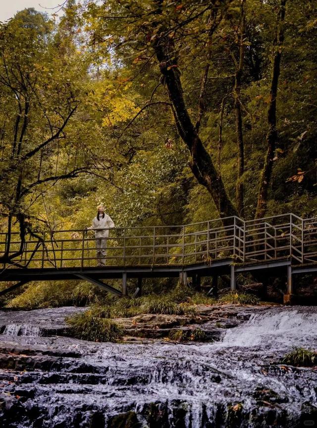 神图有了！在龙苍沟，出片还不是手拿把掐