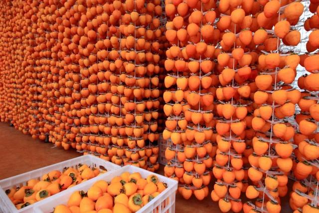 “夏”一站，禹州见 | 十条精品旅游线路带你玩转禹州