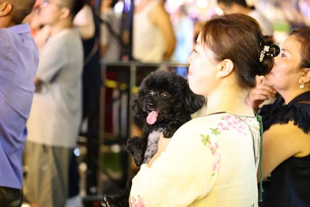 2025长春文旅街头音乐会燃情开唱！今晚精彩继续！