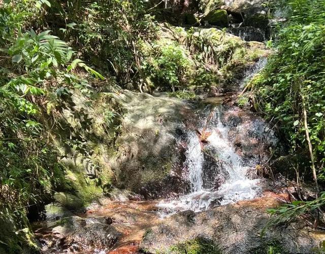 哪儿凉快哪儿待着去！岳阳避暑地图来了→