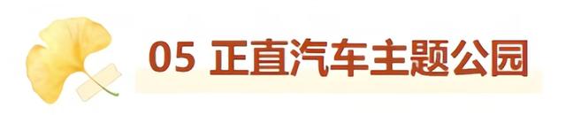 最适合拍银杏的地方！ 临沂十个0元打卡点，抓住今年最后的金色风暴！