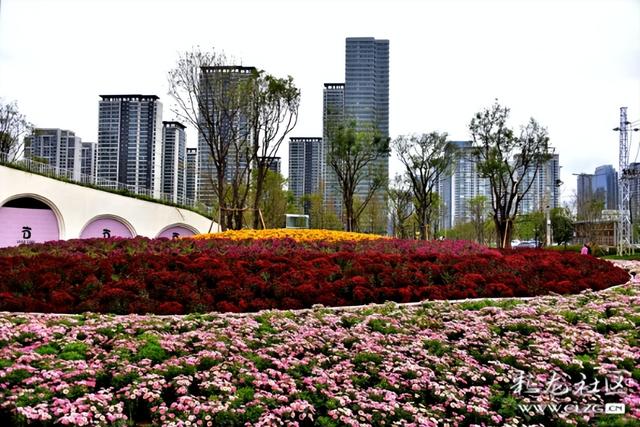 昆明巫家坝城市公园掠影