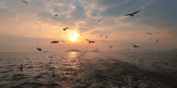 确认了！大批“顶流”抵达无锡！