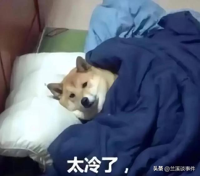 天冷了这样发，笑死你朋友圈