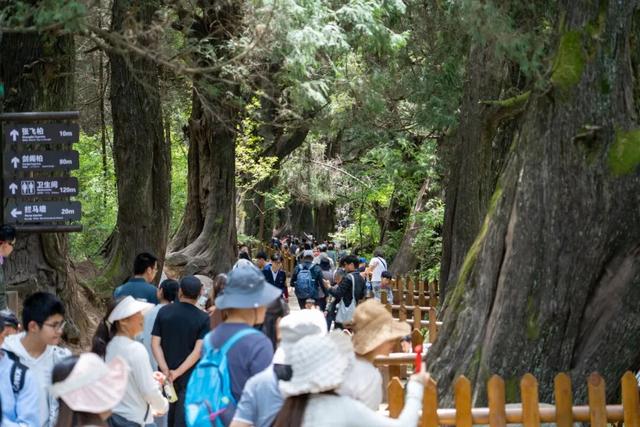 四川剑阁县文旅市场持续火爆，多元玩法焕新假日时光