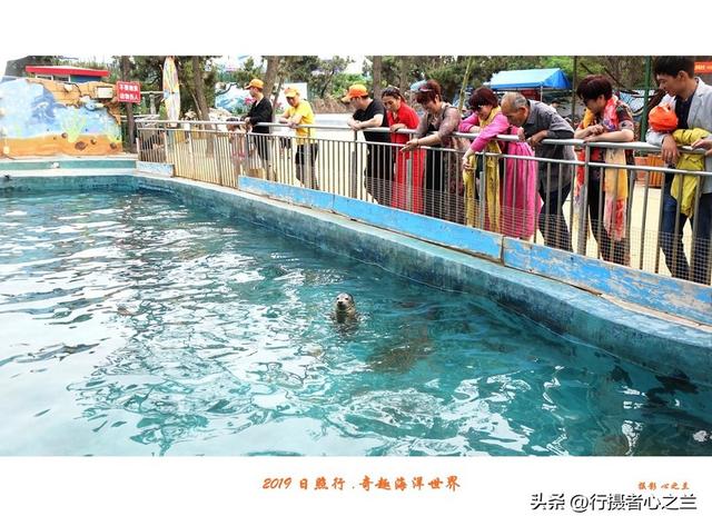 山东行游影记（90）—日照奇趣海洋世界（一）