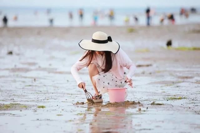 宝藏小城（荣成）漫游记 |想赶海！来荣成！