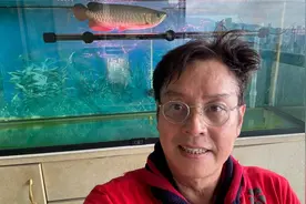 谭咏麟晒金鱼缸，玻璃反光意外曝光半山豪宅美景，怎一个壕字了得图片