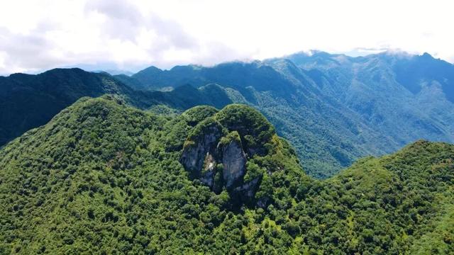 探秘“三遗产” | 一片森林与民族文化的交融共生