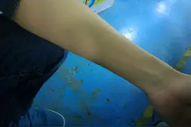 年过50岁，一定要注意手臂粗细！越来越瘦的人，或患了这2大疾病图片