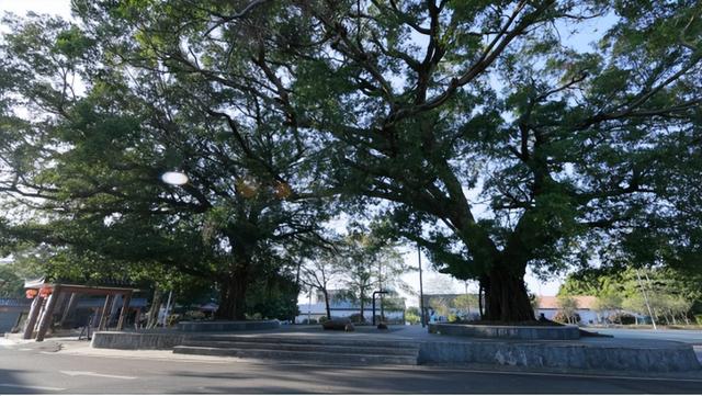 12.12开幕！品鲜蚝、逛湿地、抽温泉票，铁涌农文旅盛宴喊你打卡