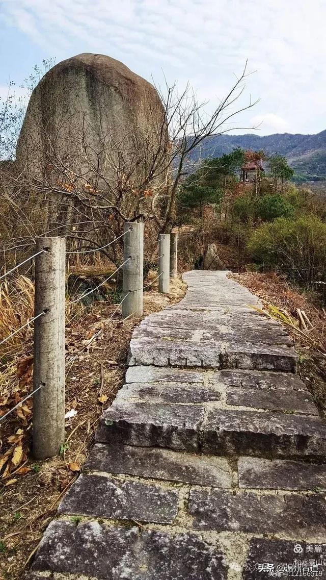著名的赏李花胜地！这个书圣王羲之后裔居住地的千年古村你可去过