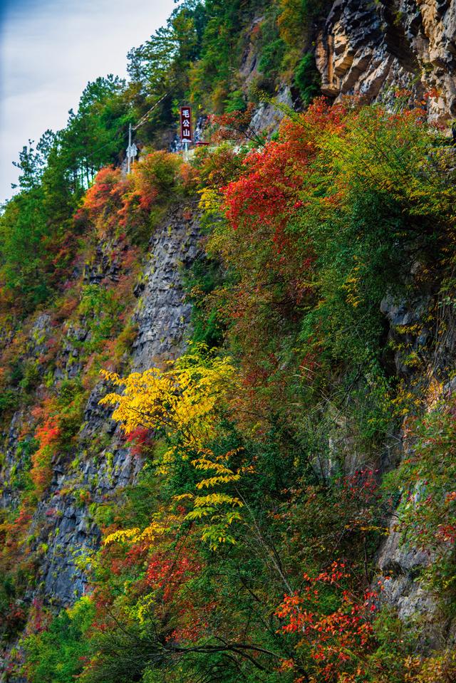 上坝彩林 彩林坝上