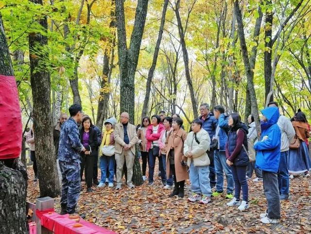 长白山第一村：赴一场秋日“参”宴