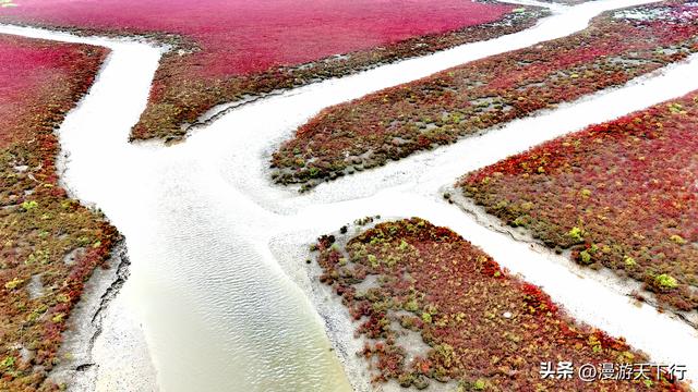 分享一个免费的红海滩，景色一点不差盘锦红海滩，
