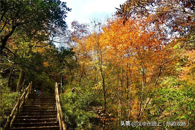 汉中秋景天花板！汉江源的红叶云海，藏不住的惊艳
