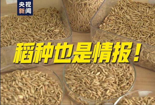 央媒通报！又一间谍行为曝光，作案手法阴险，粮食安全受威胁