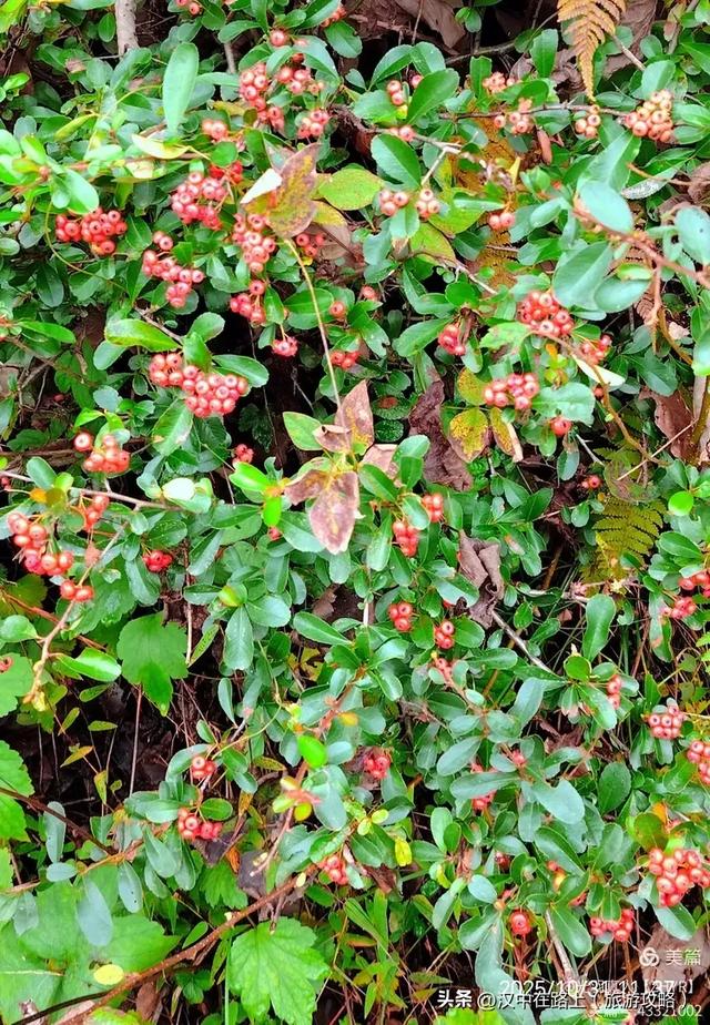 汉中出发骑游米仓山环线，览绝美秋色！