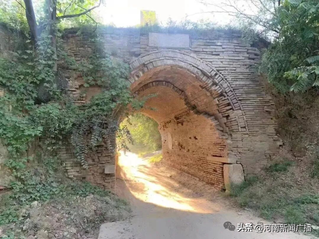 免门票！有优惠！新疆人的专属福利来啦~