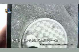 她和婆婆饭后散步，走着走着，一脚踩进......图片