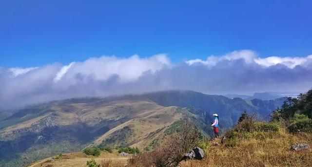 世界自然遗产、物种基因库、北纬31°绿色奇迹——神农架旅游攻略